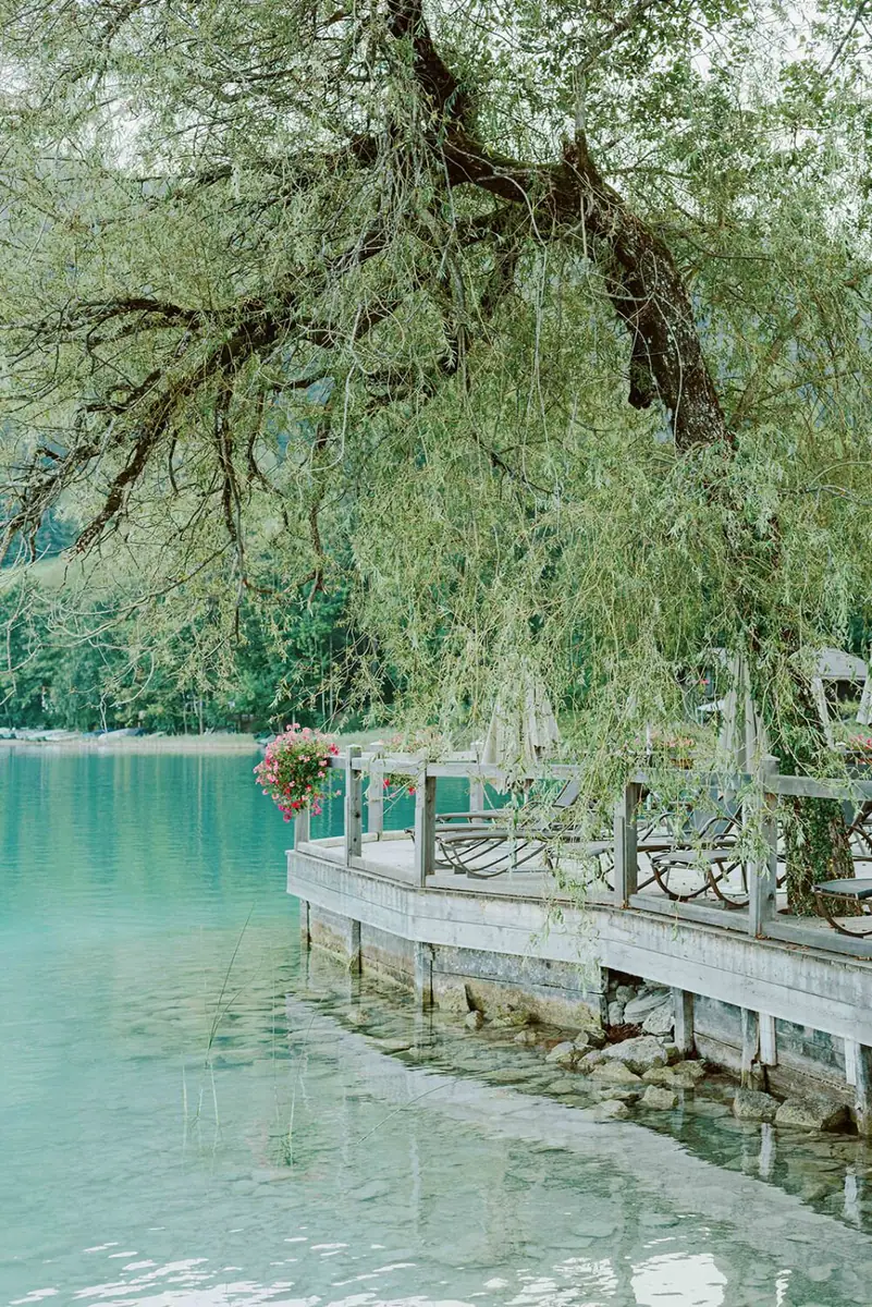 Autumn wedding 6f3cb46c37