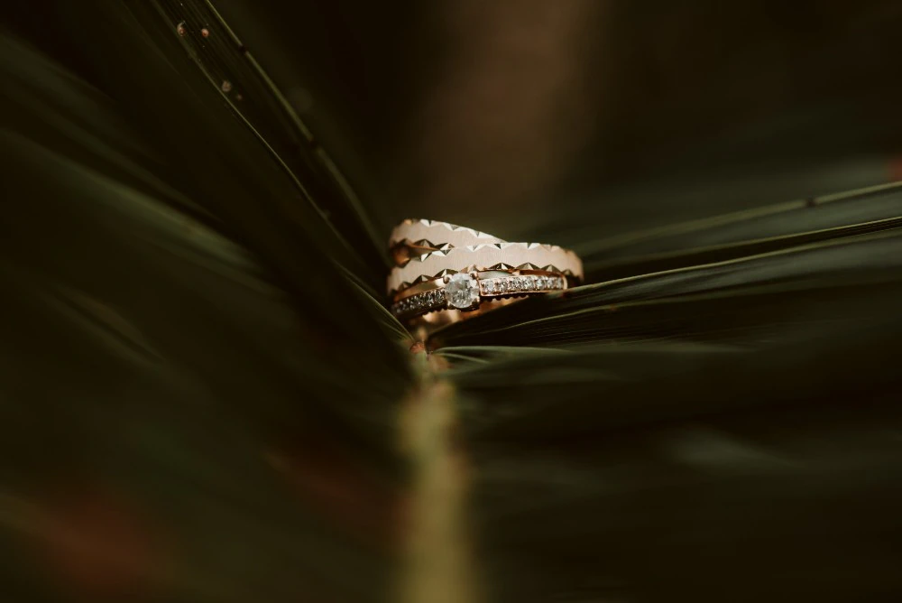 Wedding e585b272f4