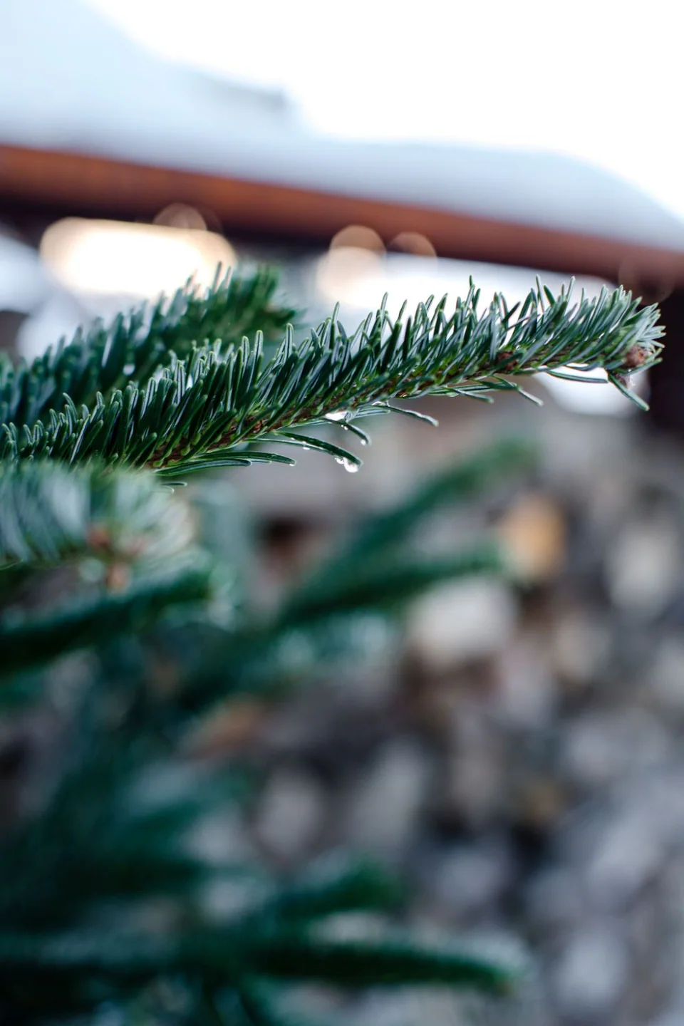 Winter pre wedding 5312a68c32 w960