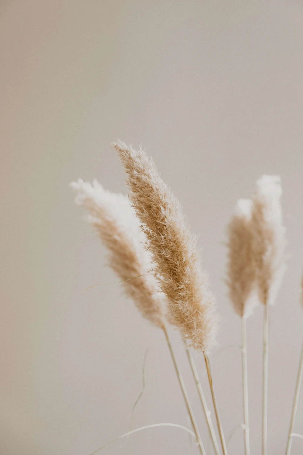 Patrick langwallner 3pr7d tirx8 unsplash